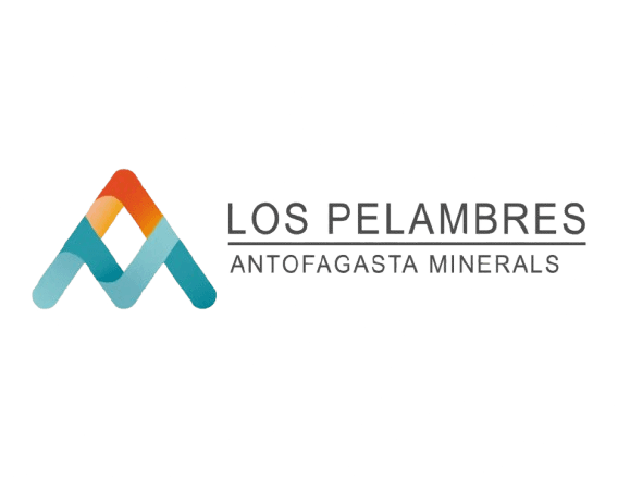Cliente 8